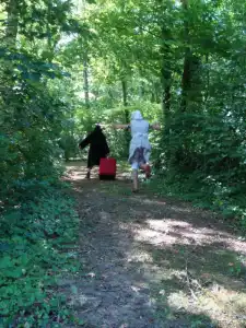 scene in het bos 3.webp